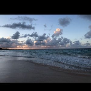 Meet your Posher, Paige